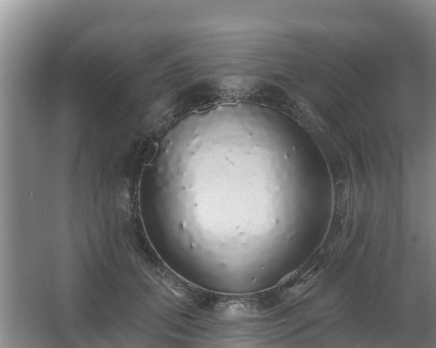 X0000062640655200512281622