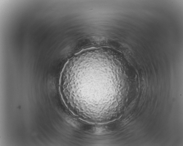 X0000062640662200512281622