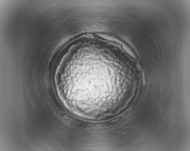 X0000062640675200512281622