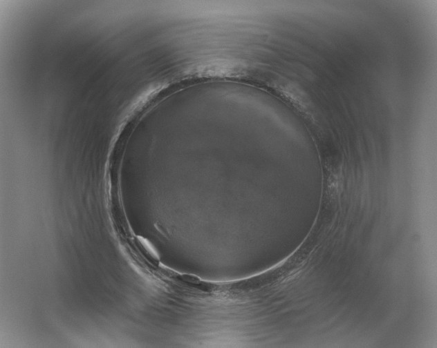 X0000062640678200512281622