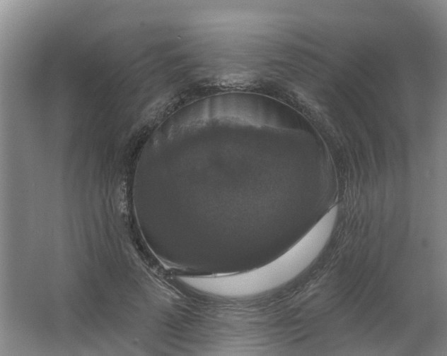 X0000062640689200512281622