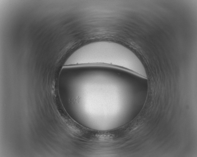 X0000062640693200512281622