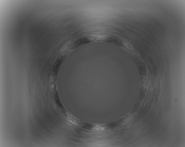 X0000062640701200512281621