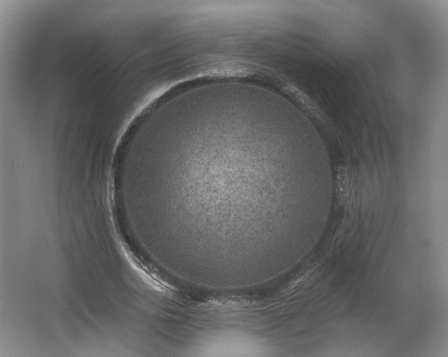 X0000062640726200512281620