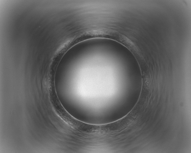 X0000062640732200512281620