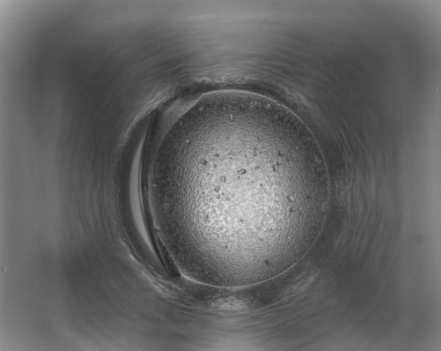 X0000062640735200512281620