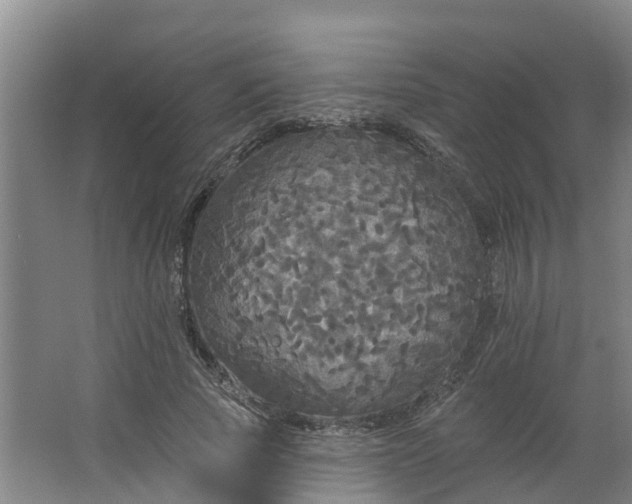 X0000062640737200512281621