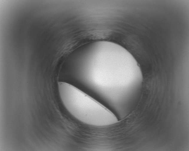 X0000062640743200512281621