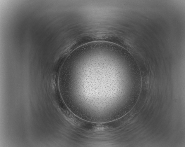 X0000062640746200512281621