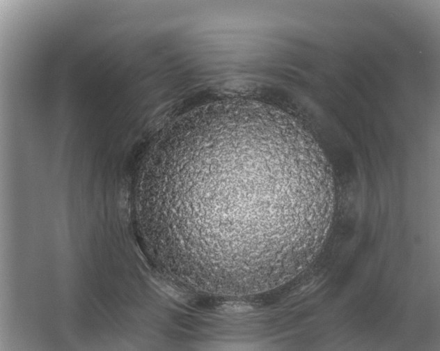 X0000062640749200512281621