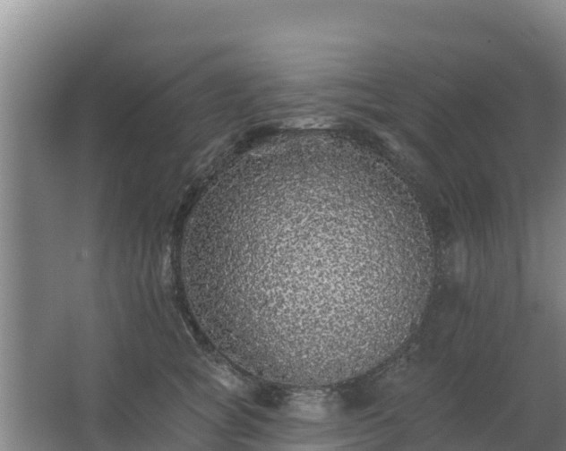 X0000062640757200512281621