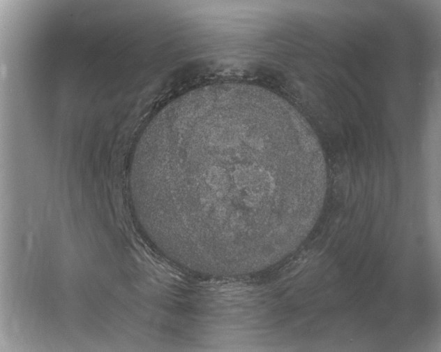 X0000062640769200512281620