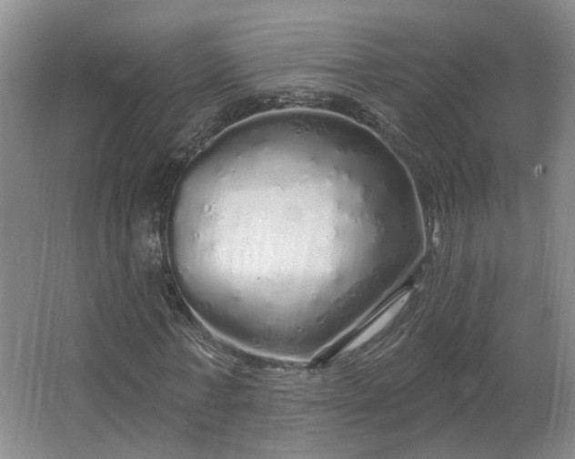 X0000062640771200512281620