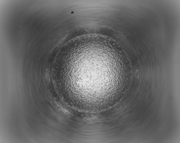 X0000062640772200512281620