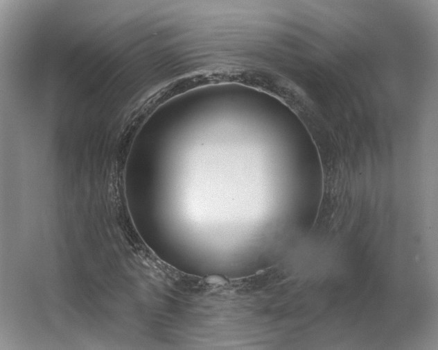 X0000062640773200512281620