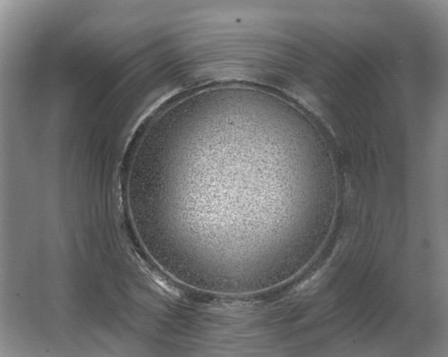 X0000062640782200512281620