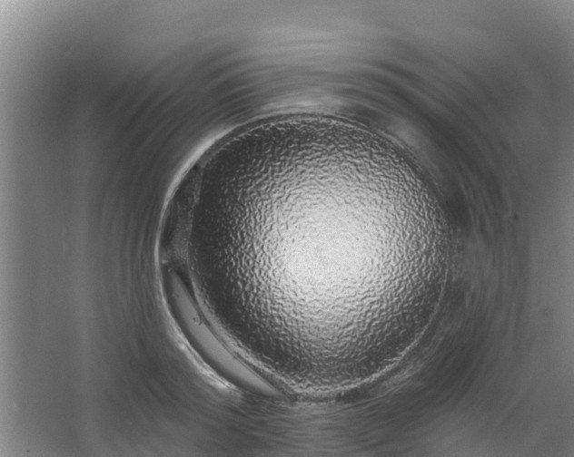 X0000062640796200512281620