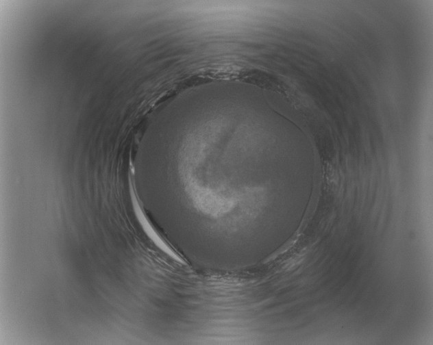 X0000062640818200512281619