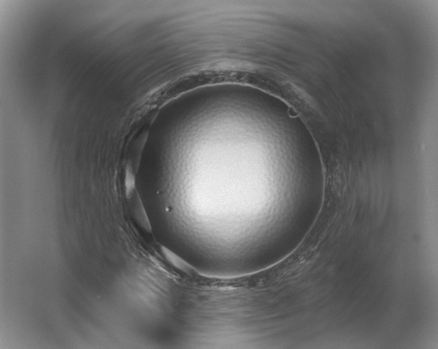 X0000062640821200512281619