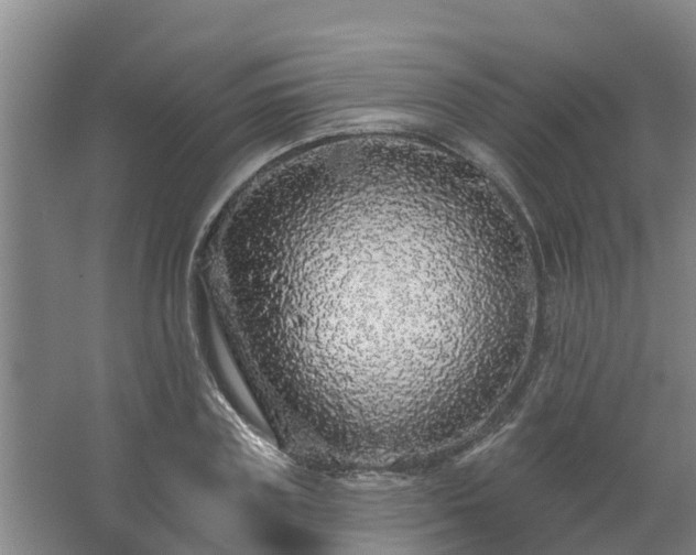 X0000062640835200512281619