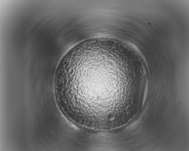 X0000062640847200512281619