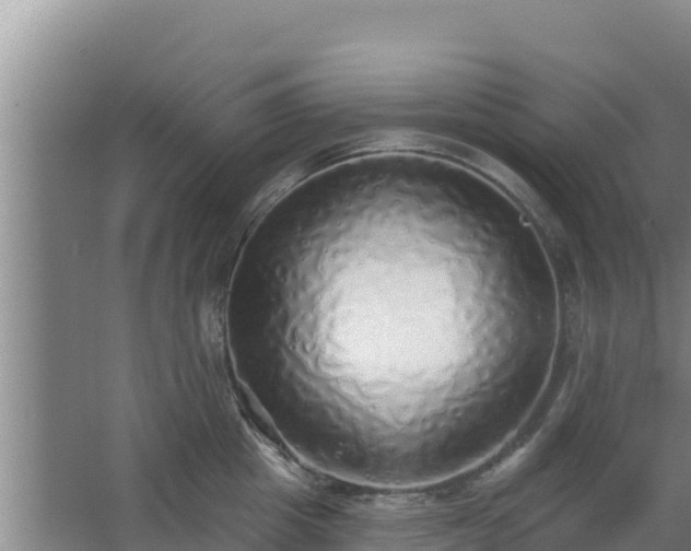 X0000062640857200512281619