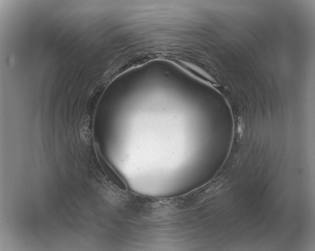 X0000062640867200512281619