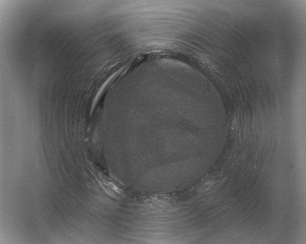X0000062640868200512281619