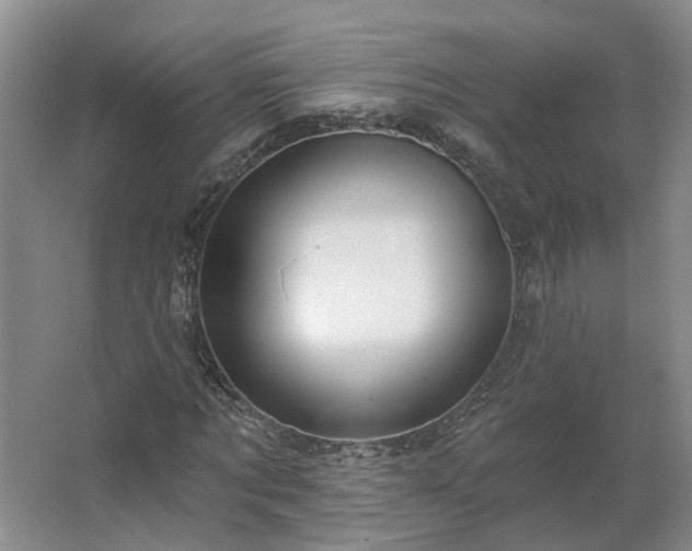 X0000062640869200512281619