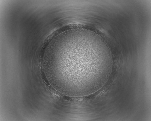 X0000062640870200512281619