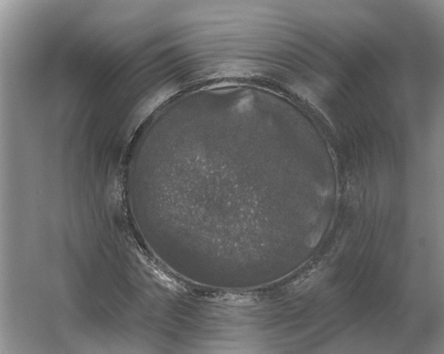 X0000062640874200512281618