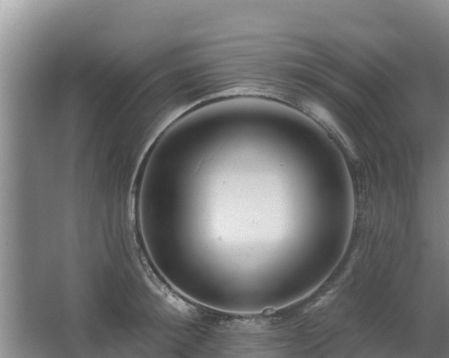 X0000062640900200512281618