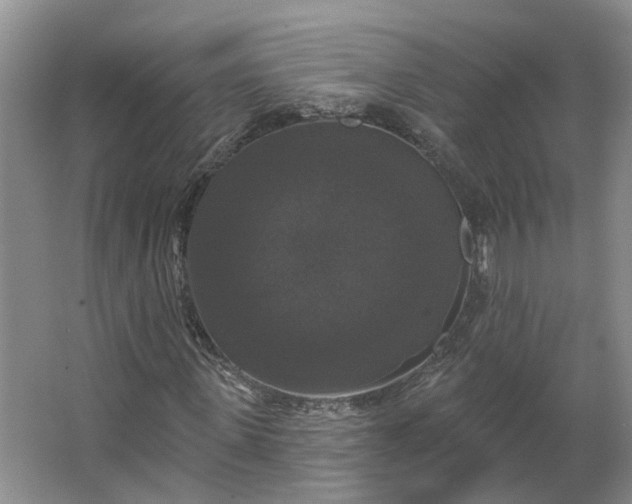 X0000062640915200512281617