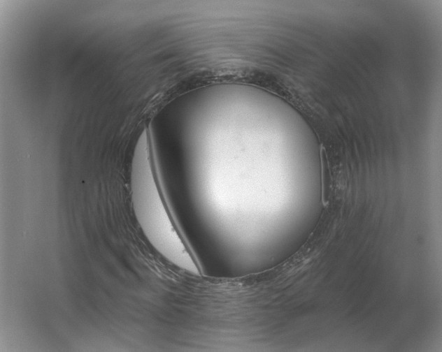 X0000062640916200512281617