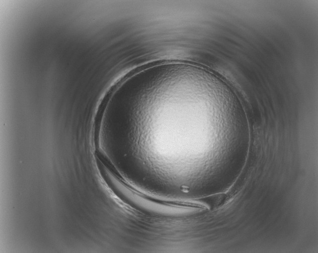 X0000062640939200512281617