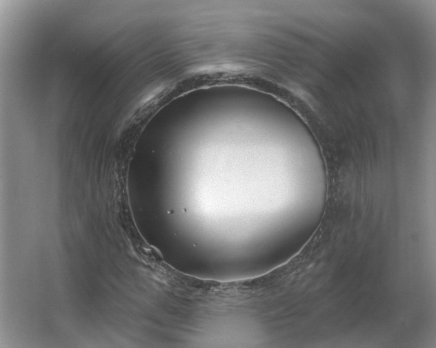 X0000062640967200512281617