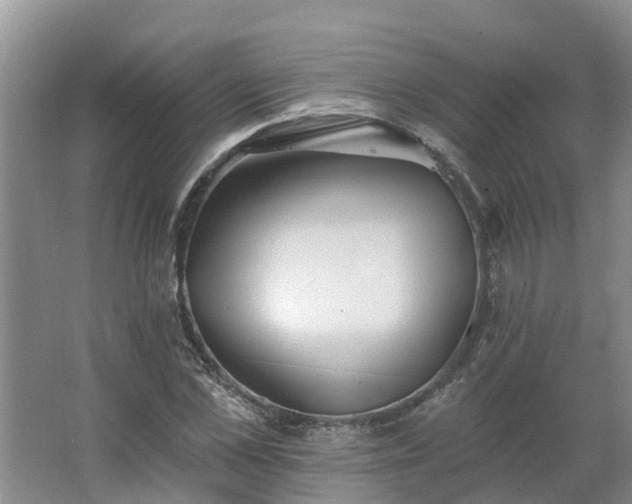 X0000062640973200512281617