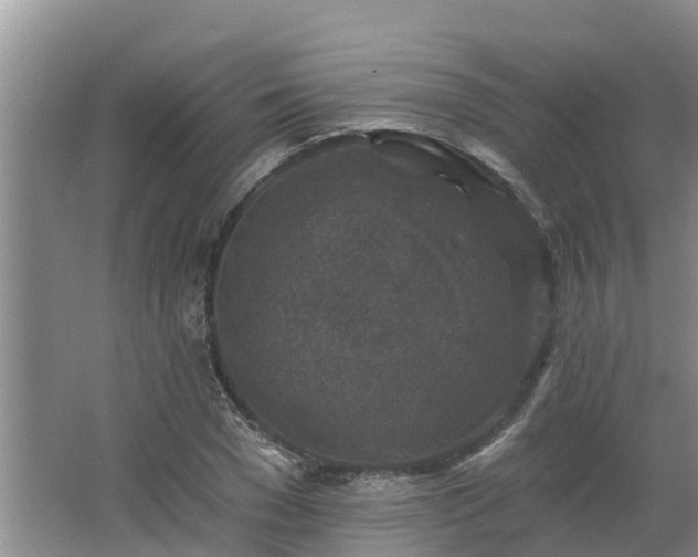 X0000062640977200512281617