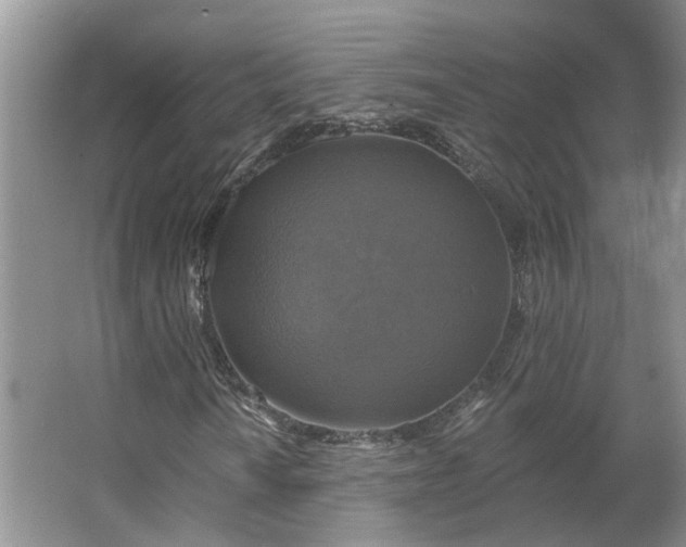 X0000062641010200512281615