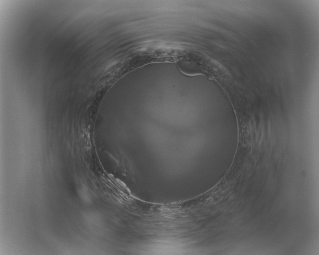 X0000062641013200512281615