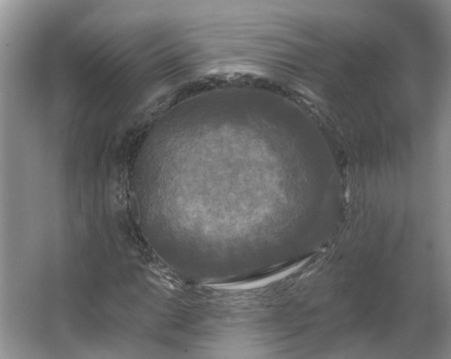X0000062641014200512281615