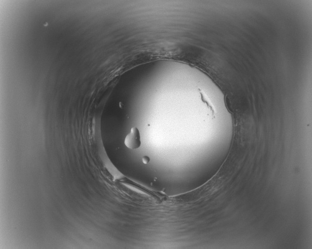 X0000062641058200512281615