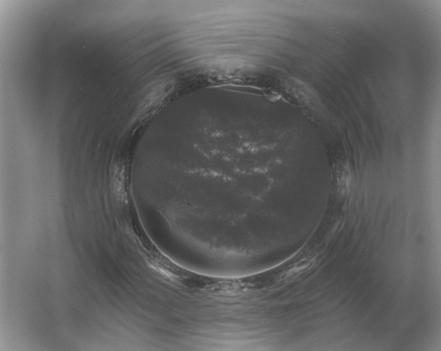 X0000062641060200512281615
