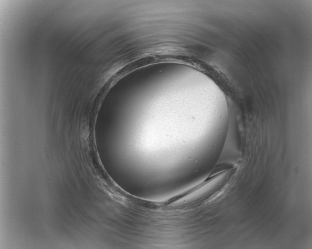 X0000062641065200512281615