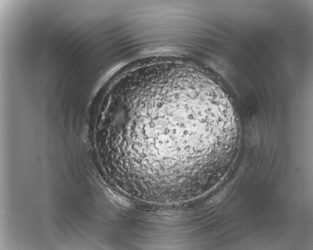 X0000062641066200512281615