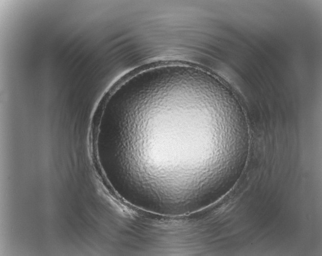 X0000062641076200512281615