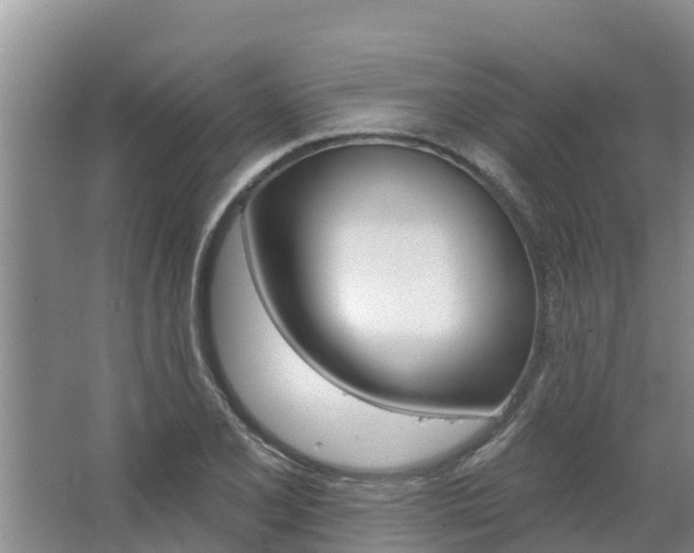 X0000062641077200512281615