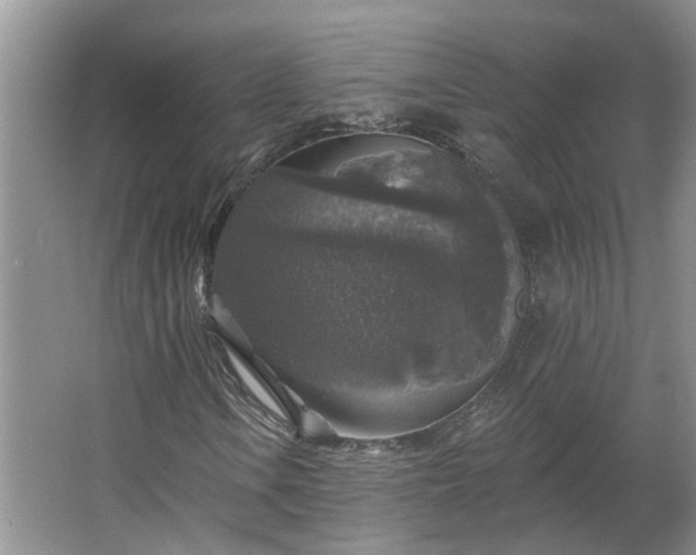 X0000062641106200512281614