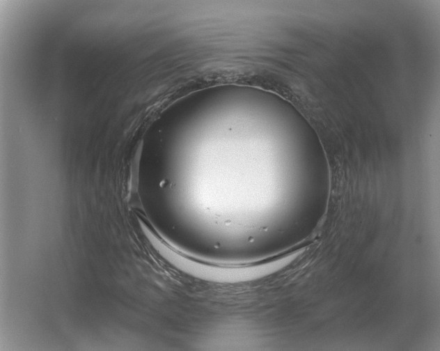 X0000062641109200512281614