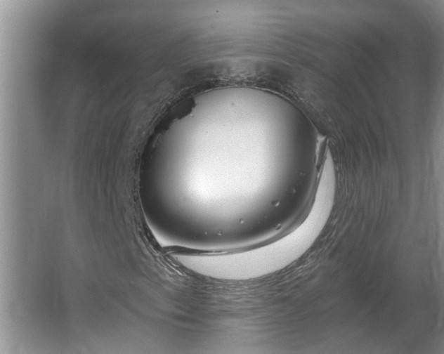 X0000062641153200512281614
